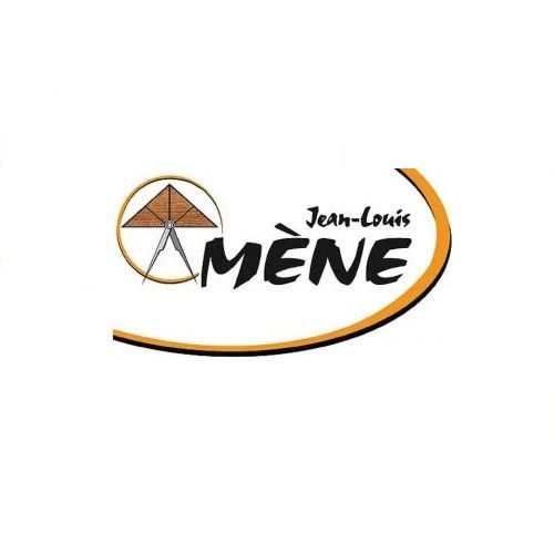 MENE Jean-Louis Expert