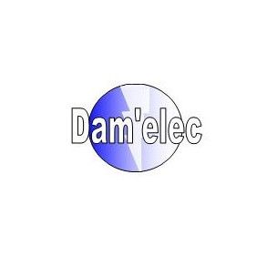 Dam'elec Expert