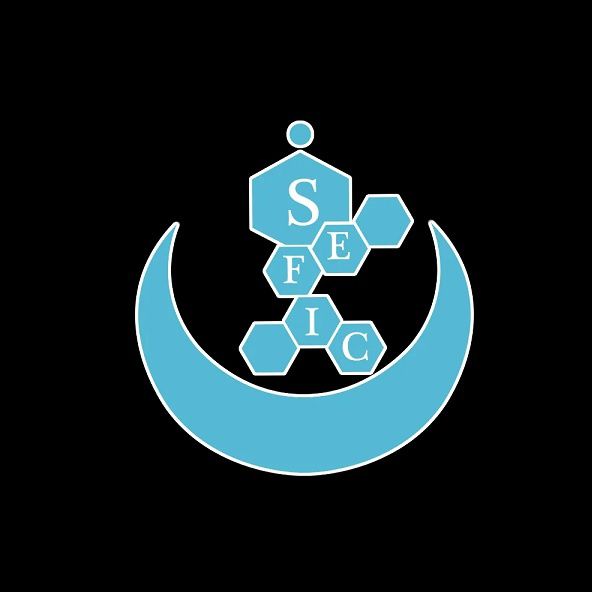 Sas Sefic ingénierie et bureau d'études (divers)