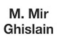 Mir Ghislain peinture et vernis (détail)
