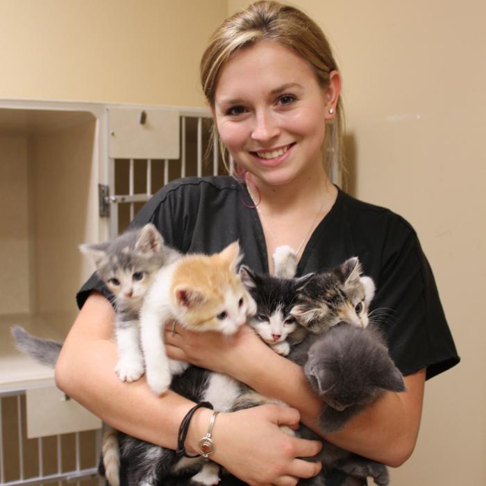 Middendorf Animal Hospital & Laser Centre - Florence, KY