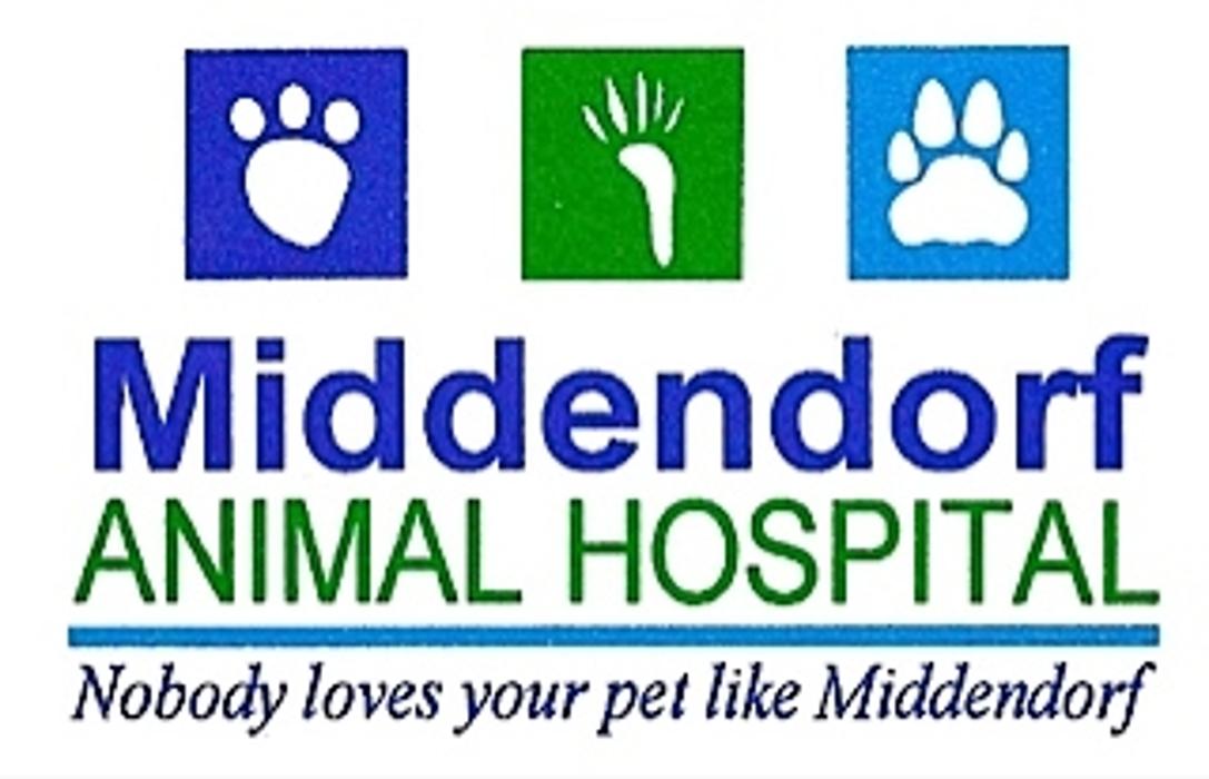 Middendorf Animal Hospital & Laser Centre - Florence, KY