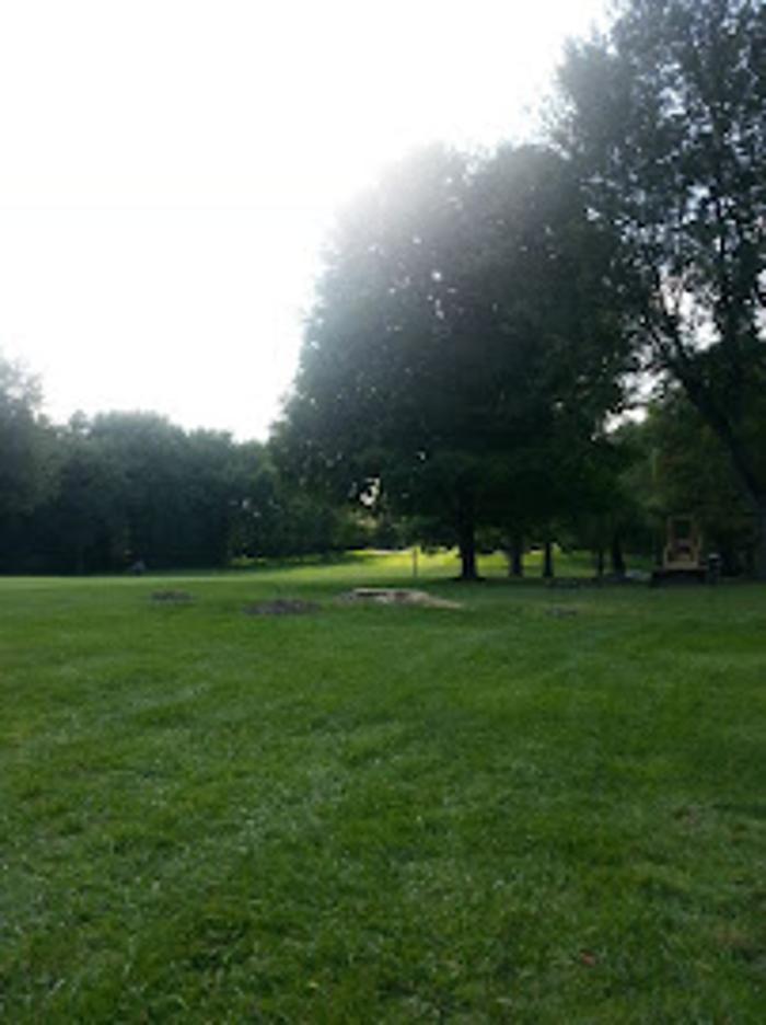 Denny's Tree Service - LaPorte, IN