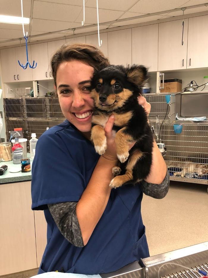 Animal Urgent Care - Escondido, CA