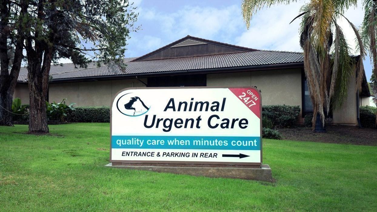 Animal Urgent Care - Escondido, CA