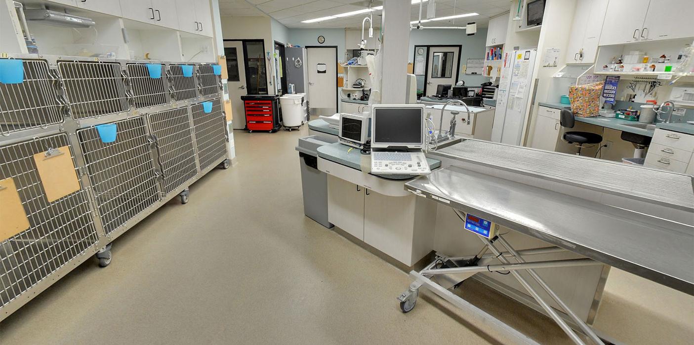 Animal Urgent Care - Escondido, CA