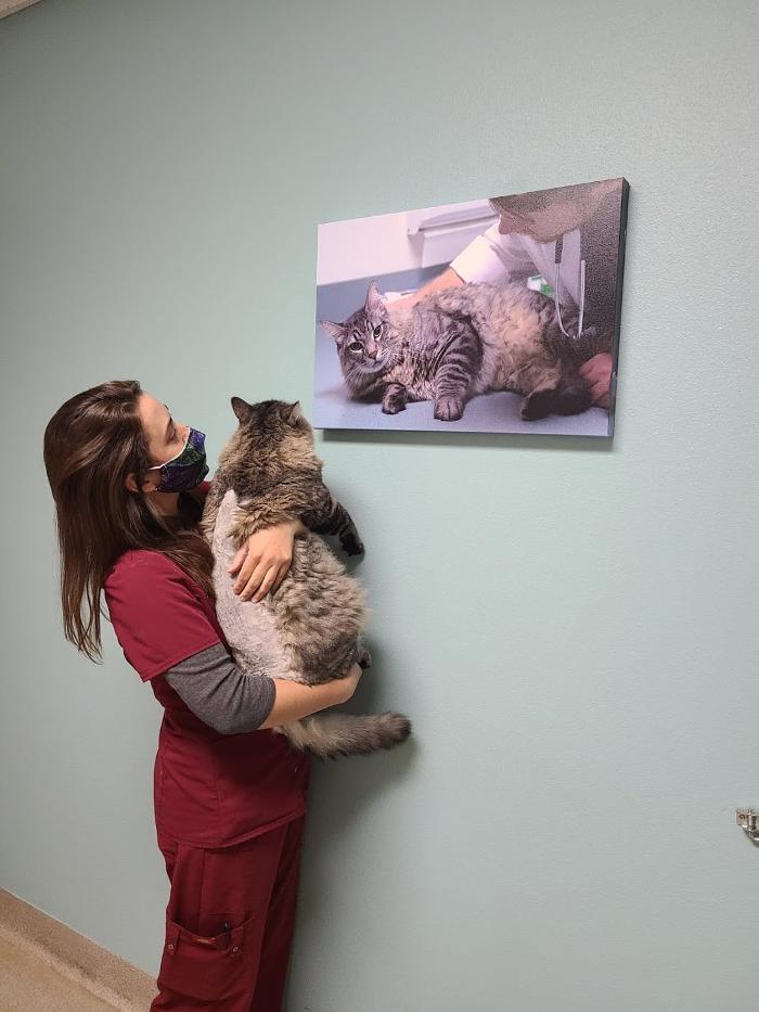 Animal Urgent Care - Escondido, CA