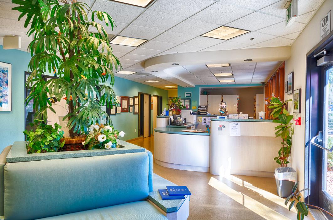 Animal Urgent Care - Escondido, CA