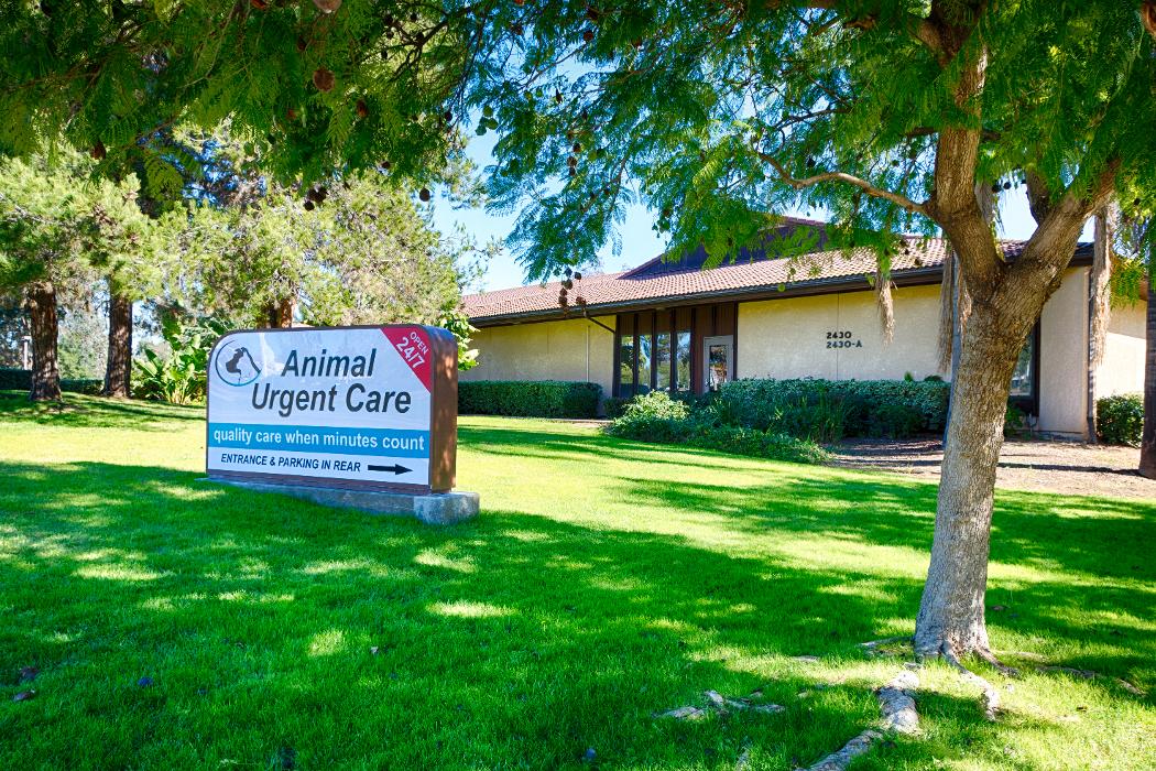 Animal Urgent Care - Escondido, CA