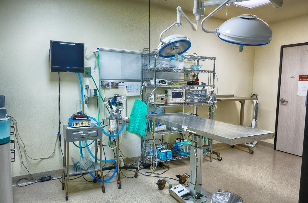 Animal Urgent Care - Escondido, CA