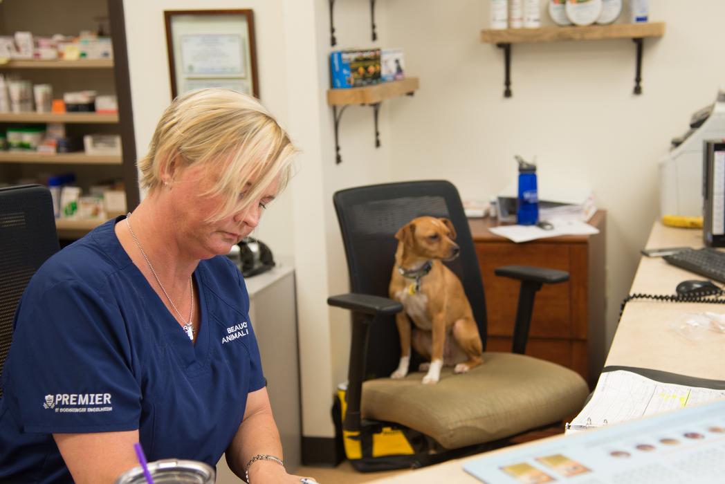 Animal Urgent Care - Escondido, CA