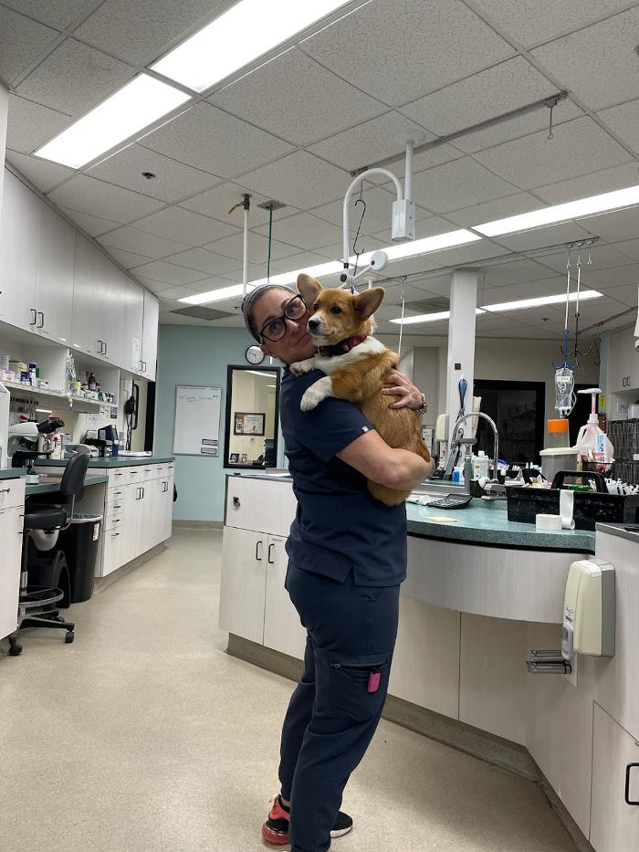 Animal Urgent Care - Escondido, CA