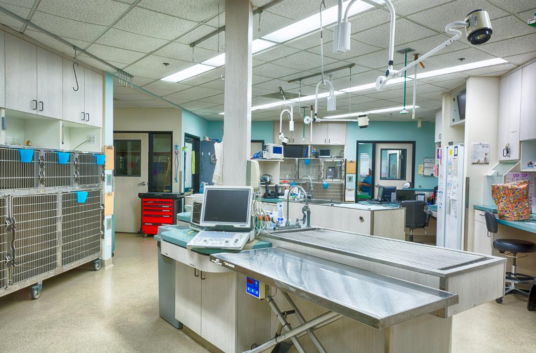 Animal Urgent Care - Escondido, CA