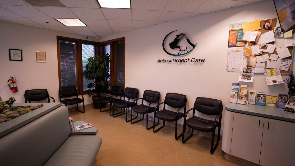 Animal Urgent Care - Escondido, CA