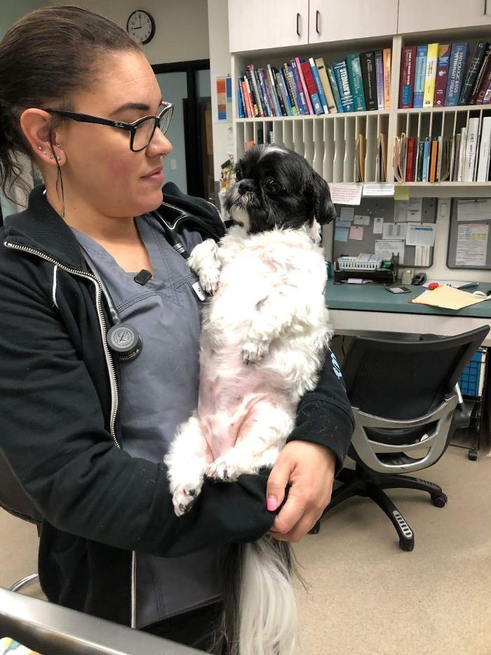 Animal Urgent Care - Escondido, CA