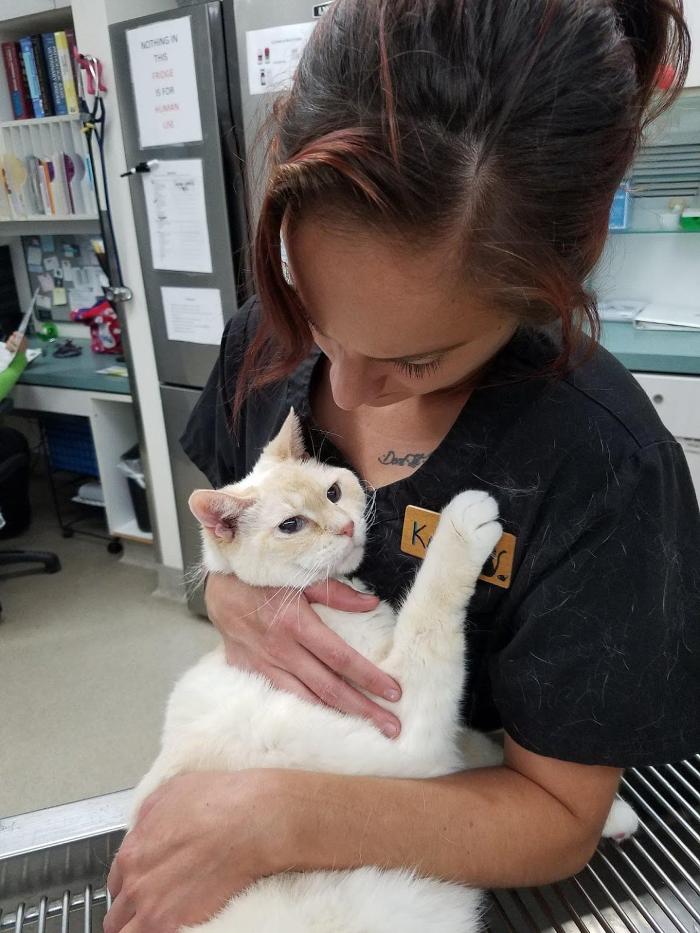 Animal Urgent Care - Escondido, CA