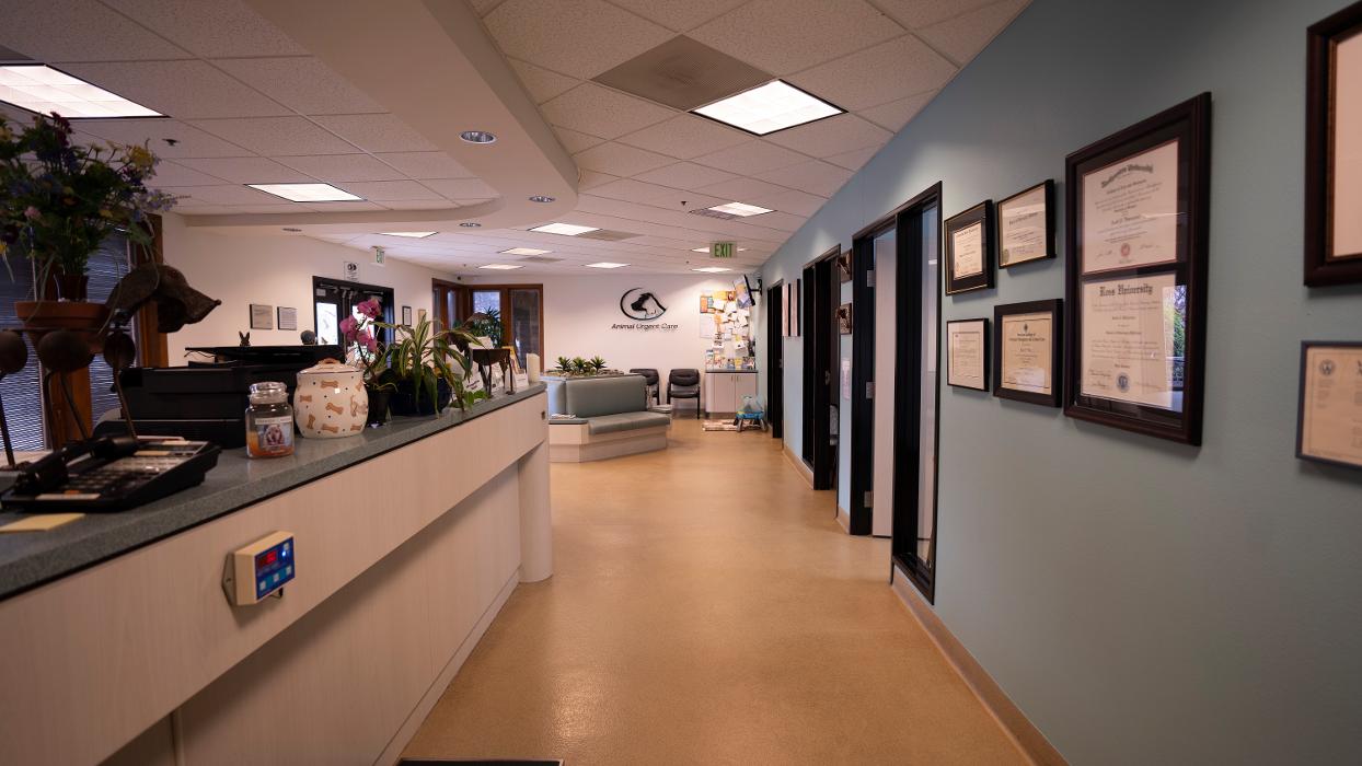 Animal Urgent Care - Escondido, CA