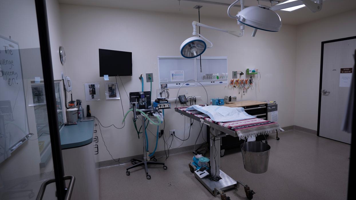 Animal Urgent Care - Escondido, CA