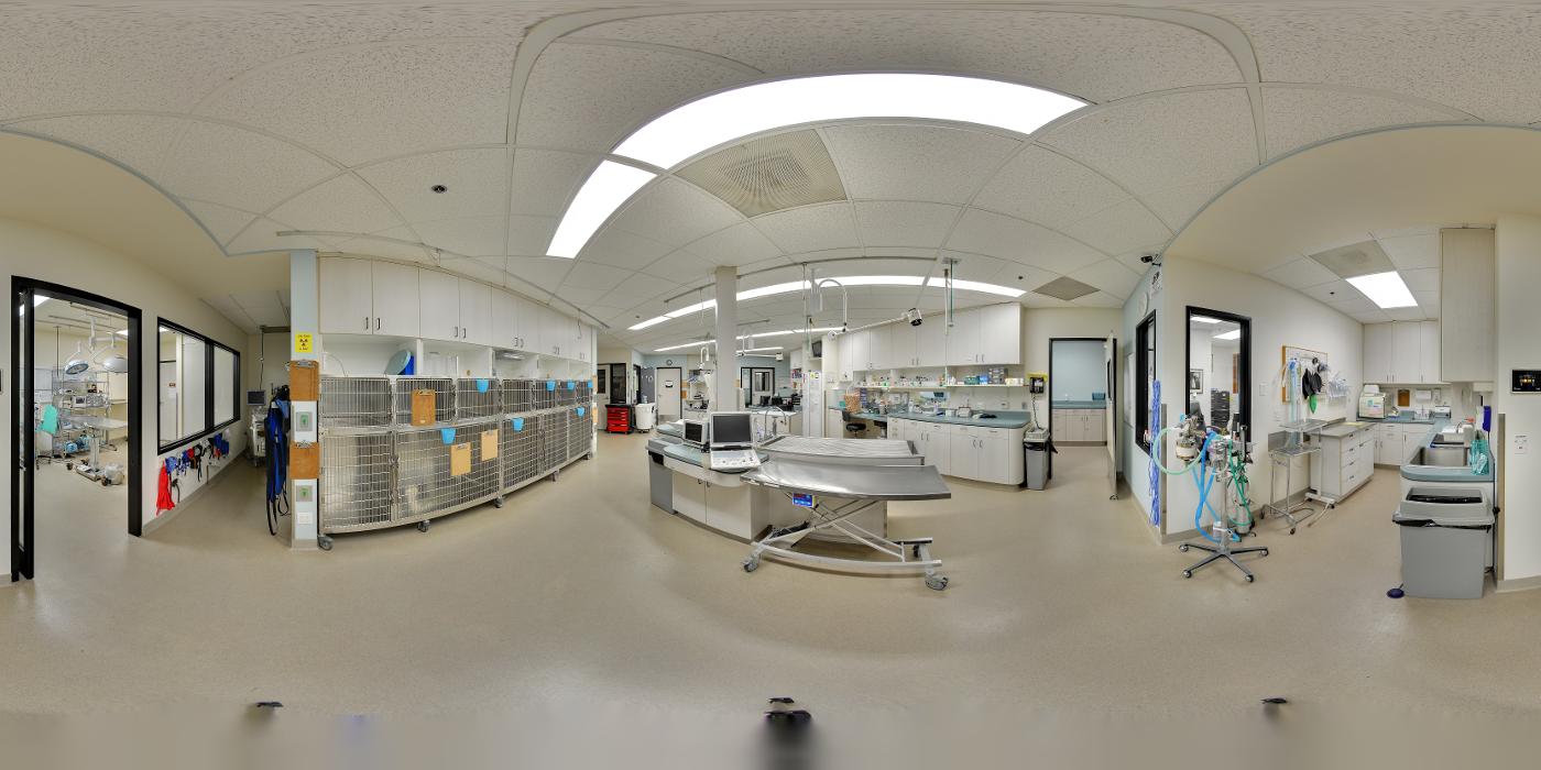 Animal Urgent Care - Escondido, CA