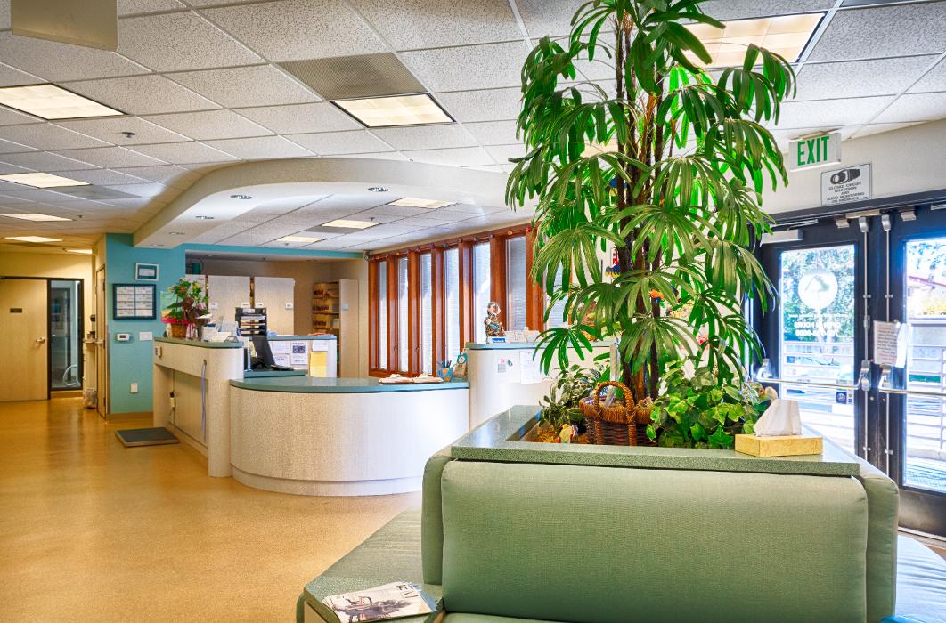 Animal Urgent Care - Escondido, CA