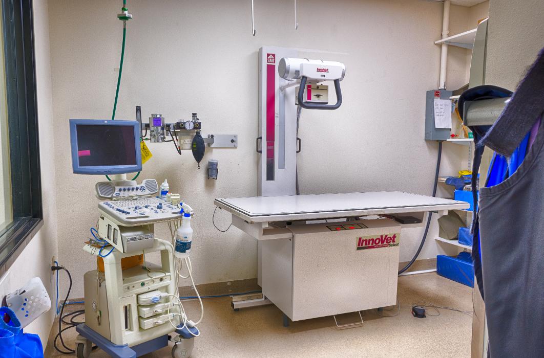 Animal Urgent Care - Escondido, CA