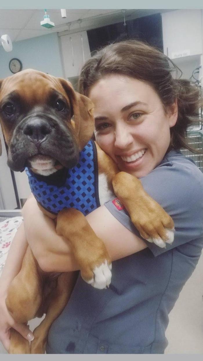 Animal Urgent Care - Escondido, CA