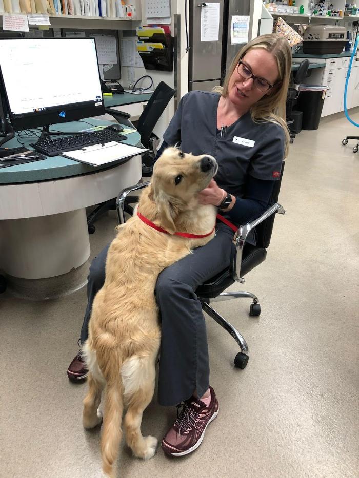 Animal Urgent Care - Escondido, CA