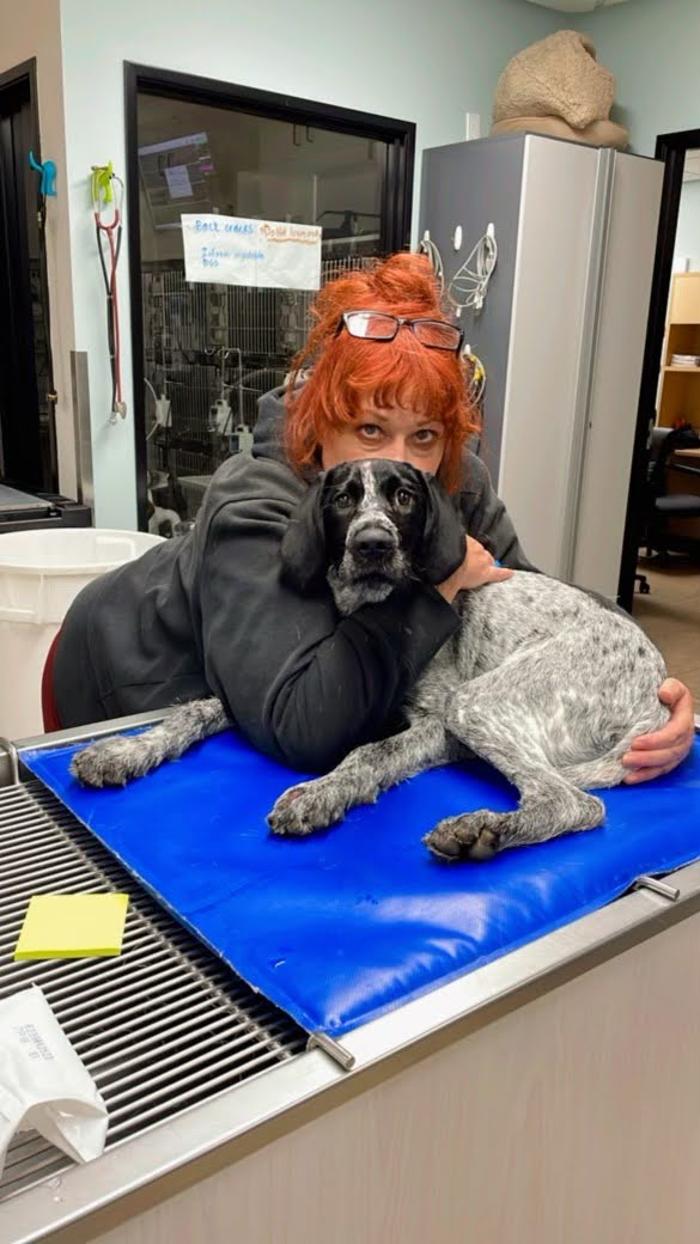 Animal Urgent Care - Escondido, CA