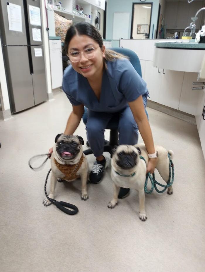 Animal Urgent Care - Escondido, CA