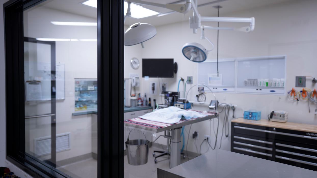 Animal Urgent Care - Escondido, CA