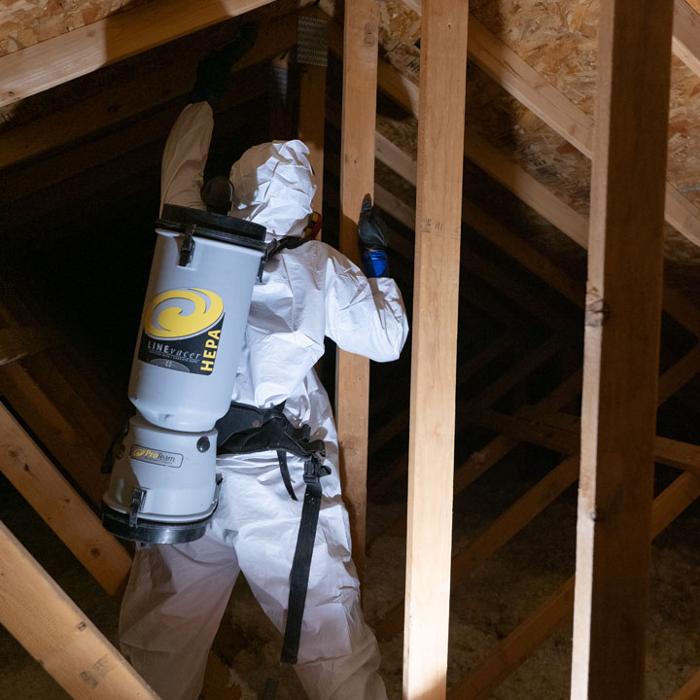 AdvantaClean of Kansas City - Lenexa, KS