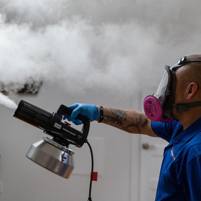 AdvantaClean of Myrtle Beach - Myrtle Beach, SC