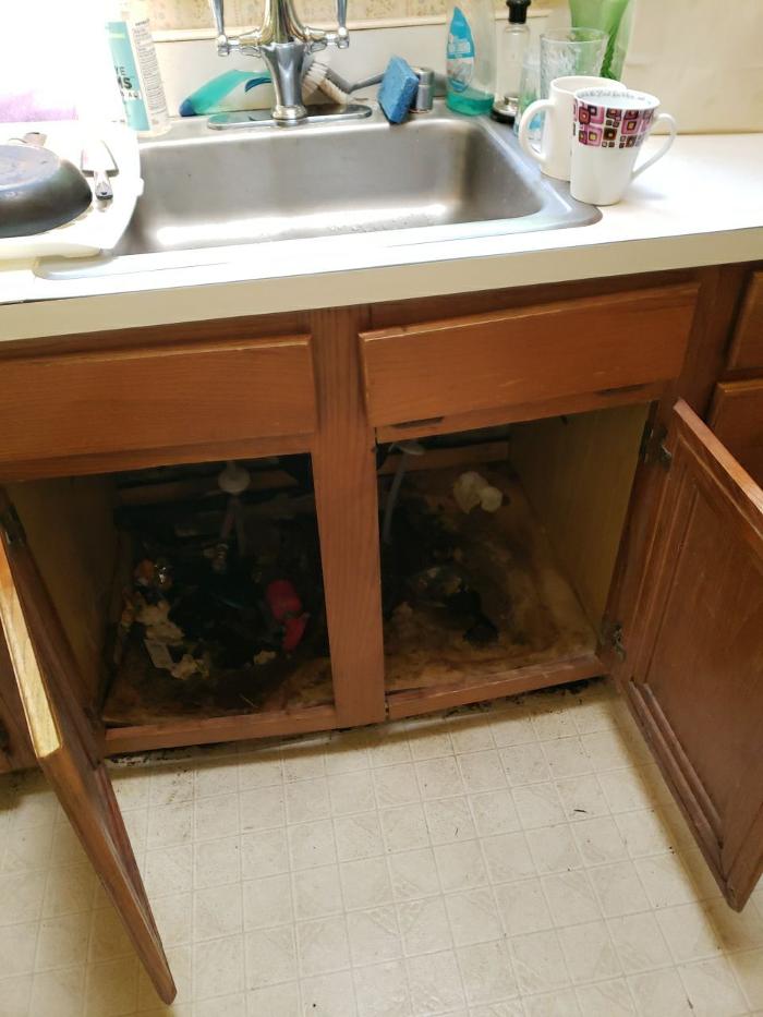 Lightspeed Restoration of Alexandria and Fairfax - Alexandria, VA