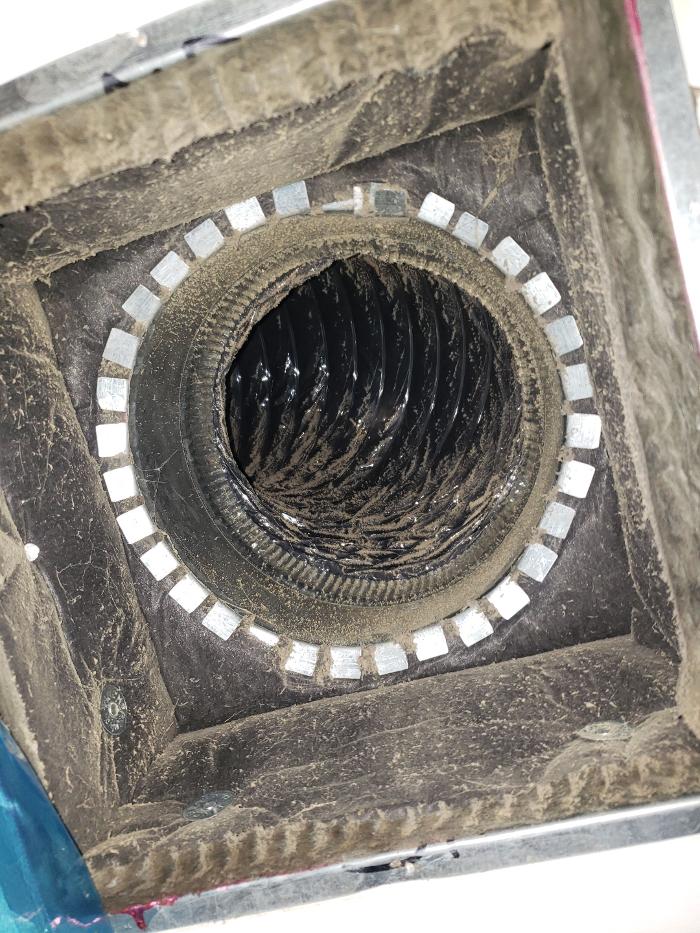 Lightspeed Restoration of Alexandria and Fairfax - Alexandria, VA