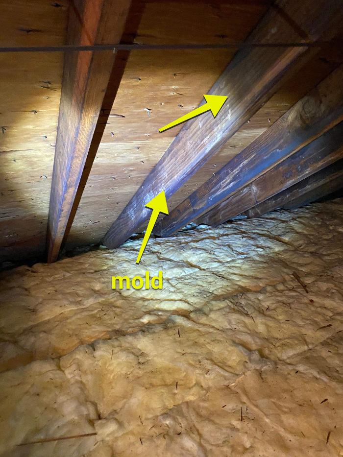 Lightspeed Restoration of Alexandria and Fairfax - Alexandria, VA