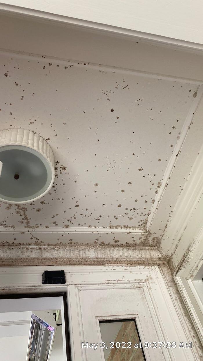 Lightspeed Restoration of Alexandria and Fairfax - Alexandria, VA