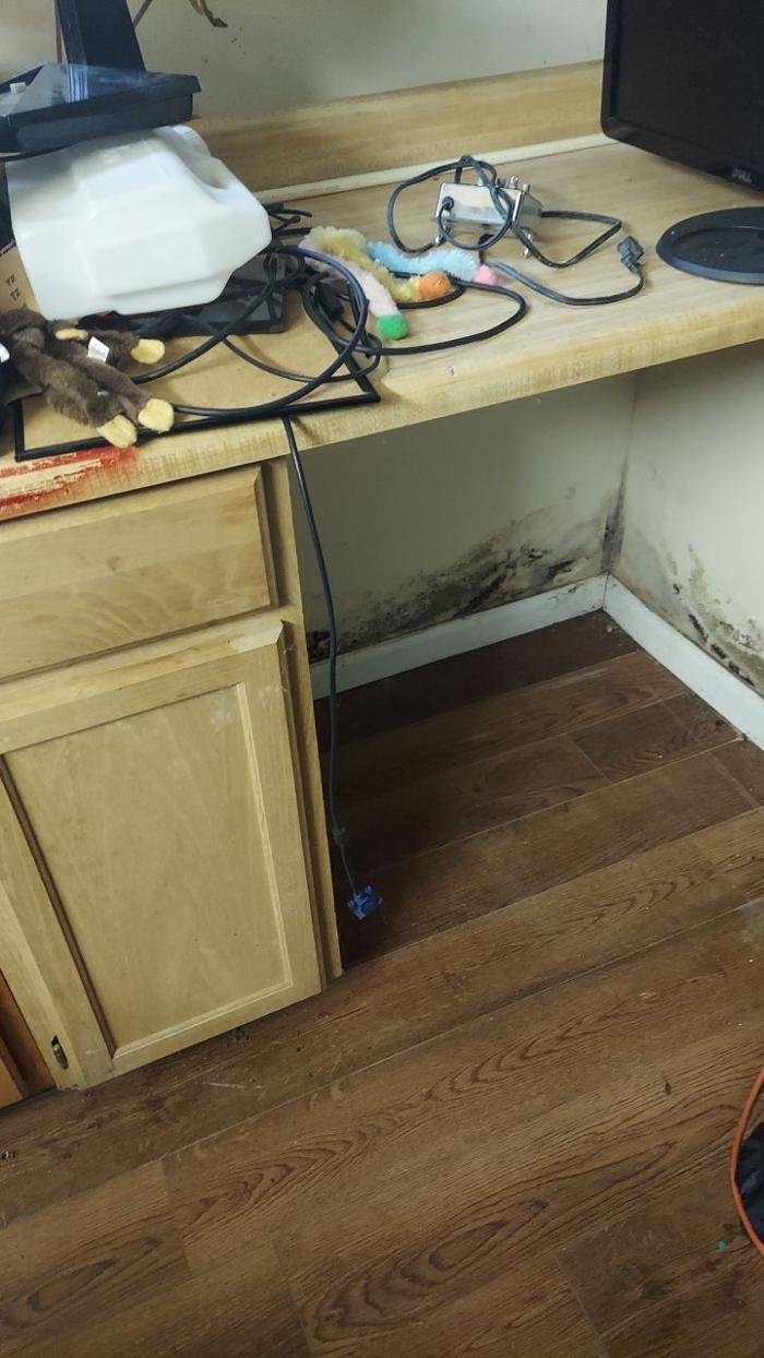 Lightspeed Restoration of Alexandria and Fairfax - Alexandria, VA