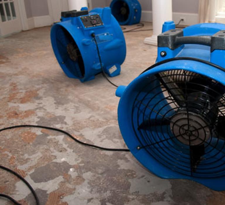 Lightspeed Restoration of Alexandria and Fairfax - Alexandria, VA