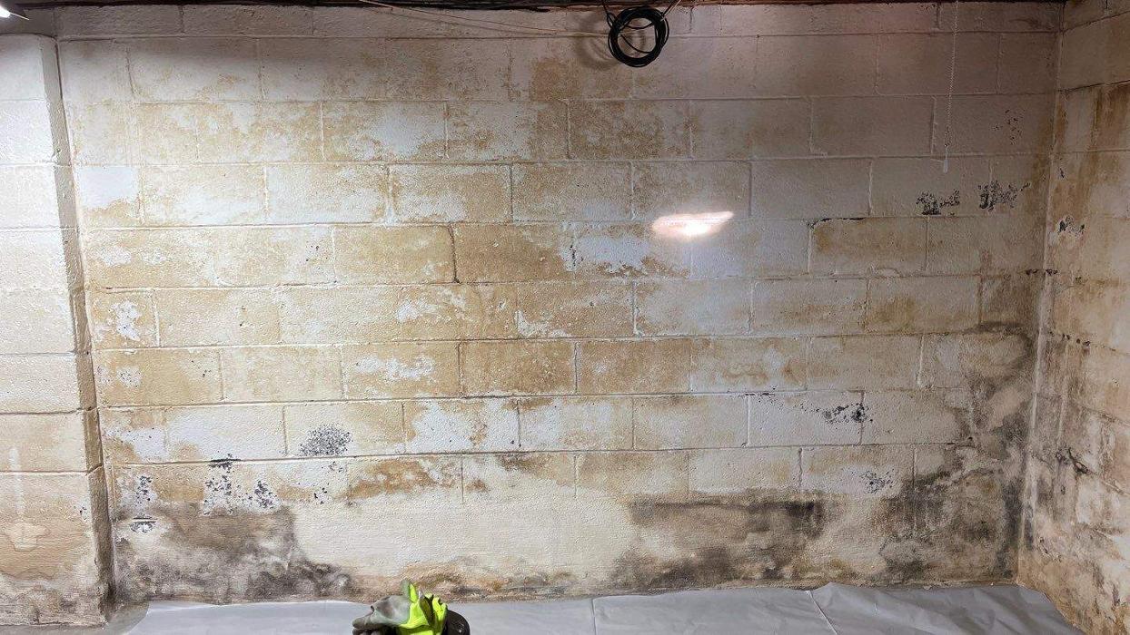 Lightspeed Restoration of Alexandria and Fairfax - Alexandria, VA