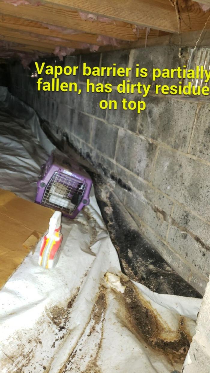 Lightspeed Restoration of Alexandria and Fairfax - Alexandria, VA