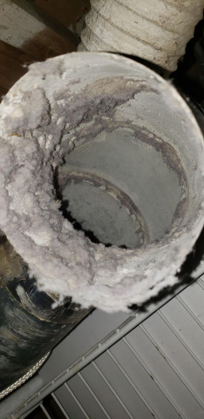 Lightspeed Restoration of Alexandria and Fairfax - Alexandria, VA