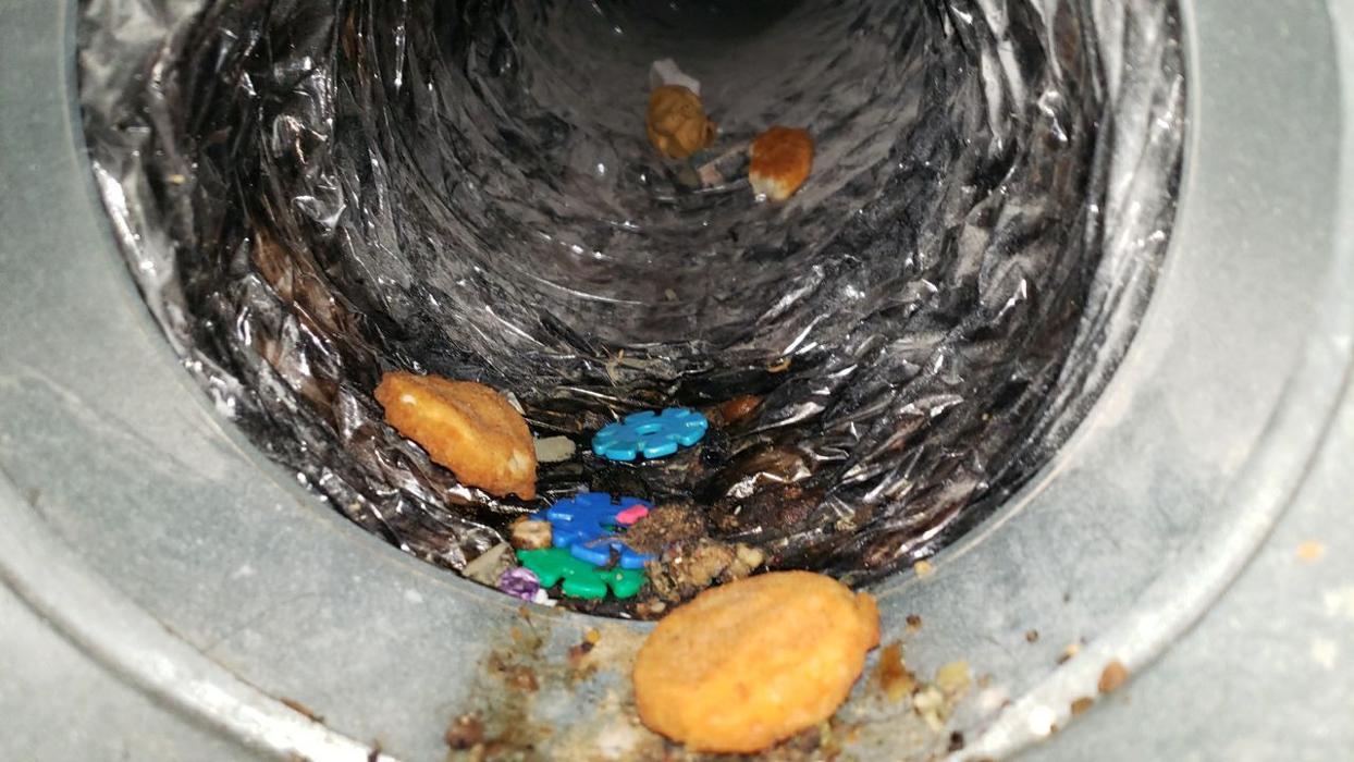 Lightspeed Restoration of Alexandria and Fairfax - Alexandria, VA