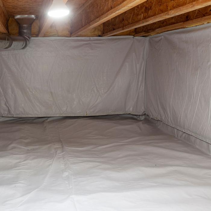 Lightspeed Restoration of Alexandria and Fairfax - Alexandria, VA