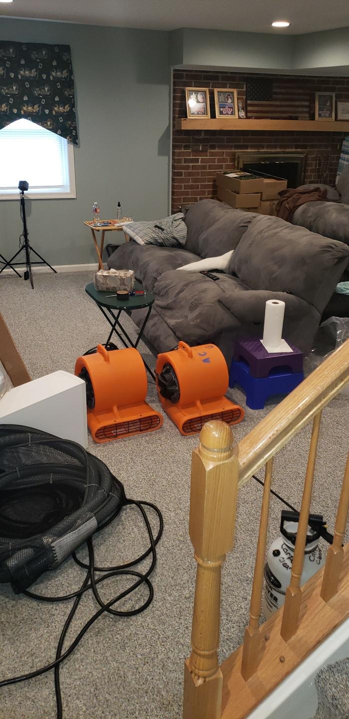 Lightspeed Restoration of Alexandria and Fairfax - Alexandria, VA