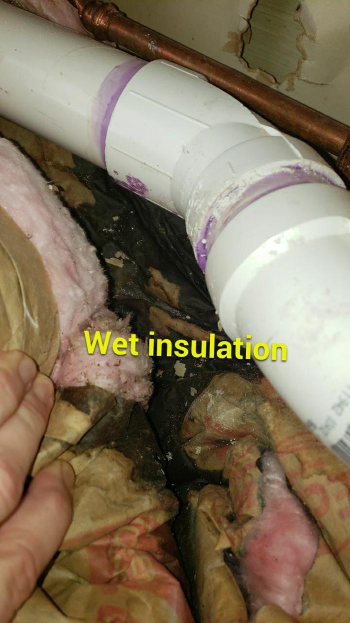 Lightspeed Restoration of Alexandria and Fairfax - Alexandria, VA