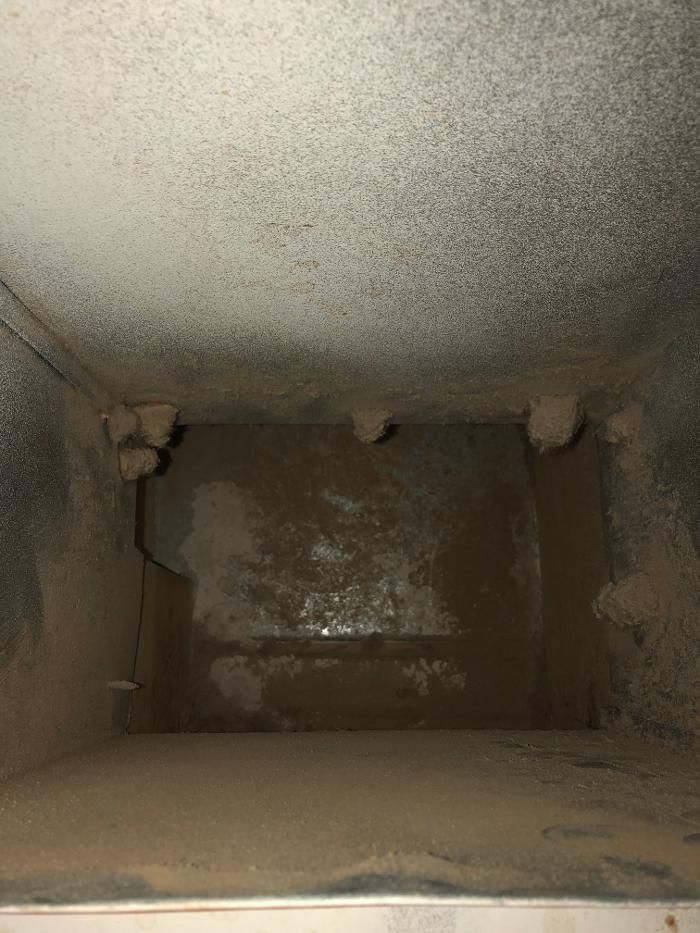 Lightspeed Restoration of Alexandria and Fairfax - Alexandria, VA