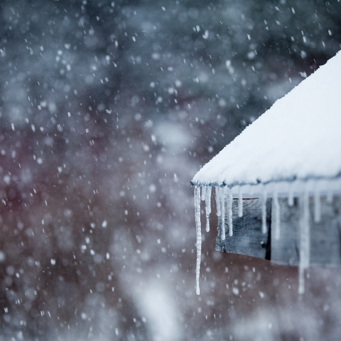 Lightspeed Restoration of Alexandria and Fairfax - Alexandria, VA