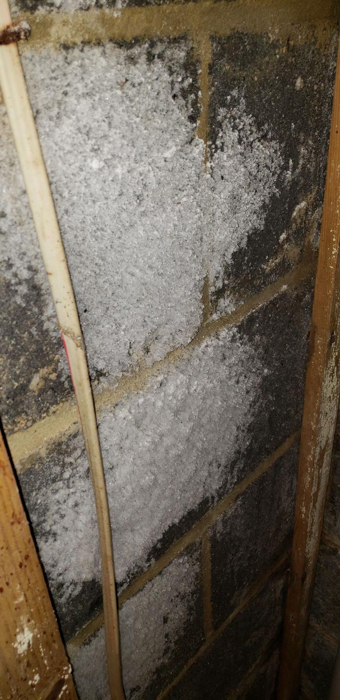 Lightspeed Restoration of Alexandria and Fairfax - Alexandria, VA