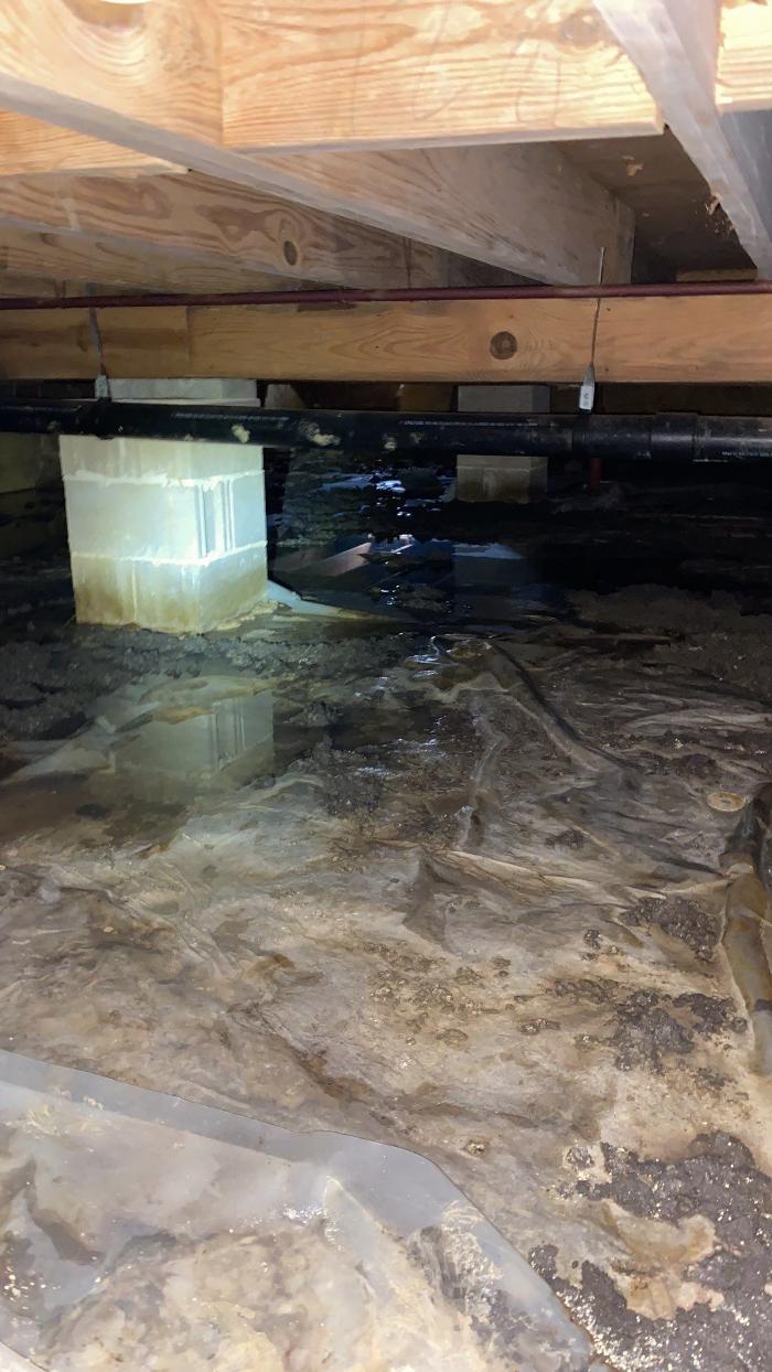 Lightspeed Restoration of Alexandria and Fairfax - Alexandria, VA