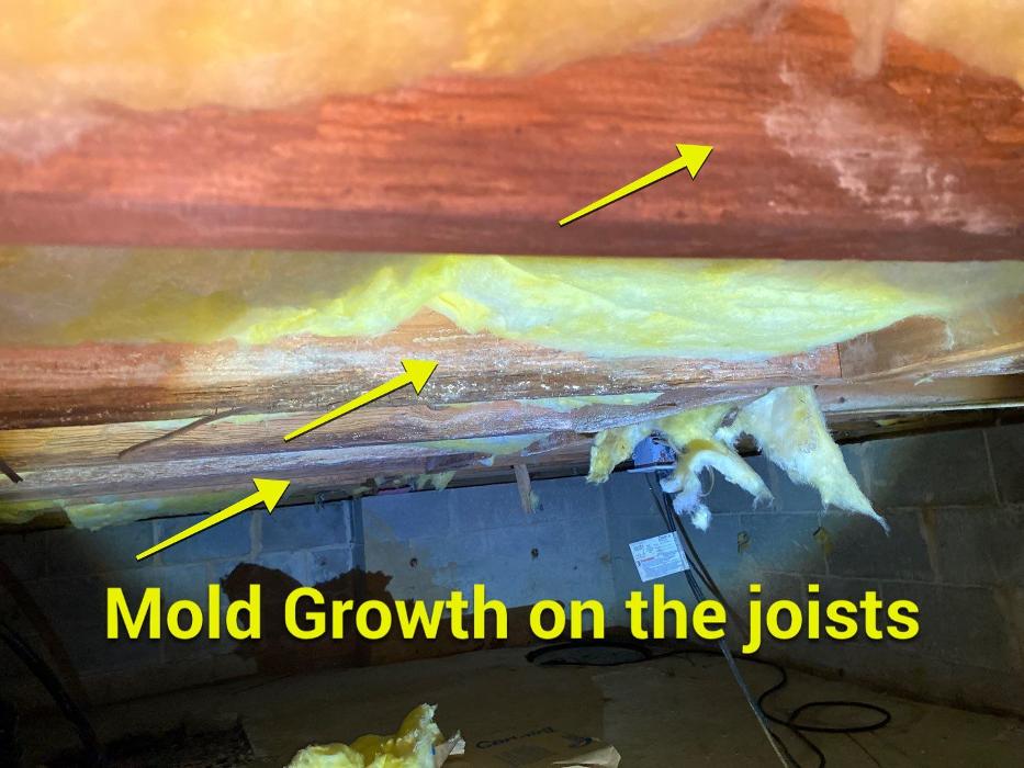 Lightspeed Restoration of Alexandria and Fairfax - Alexandria, VA